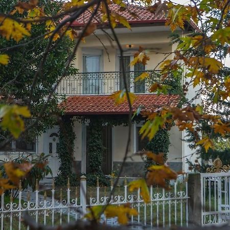 Woods Cottage Loutra Pozar Aridaia Megaplatanos 외부 사진