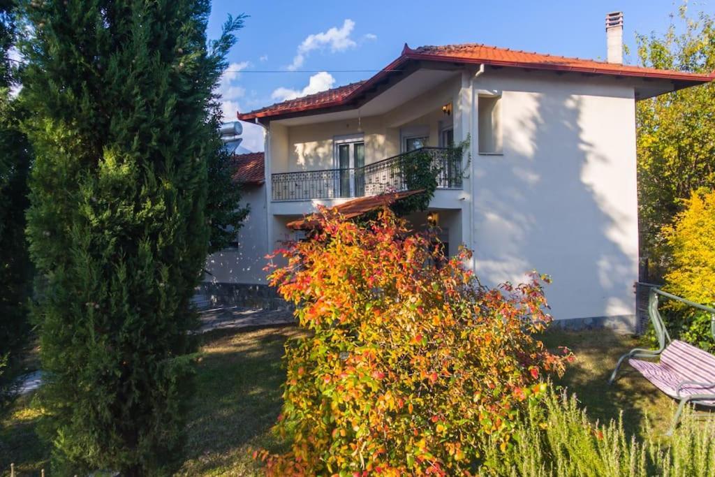 Woods Cottage Loutra Pozar Aridaia Megaplatanos 외부 사진