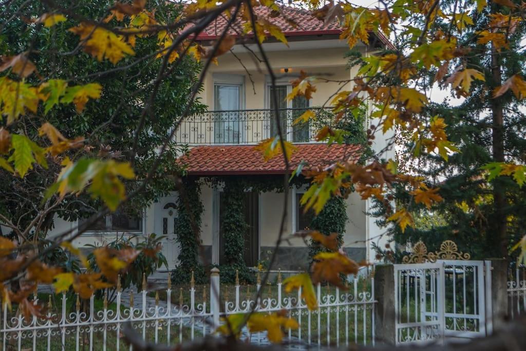 Woods Cottage Loutra Pozar Aridaia Megaplatanos 외부 사진