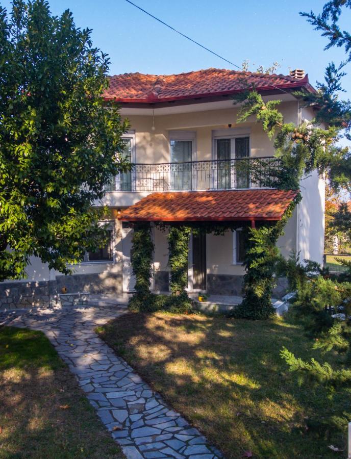 Woods Cottage Loutra Pozar Aridaia Megaplatanos 외부 사진